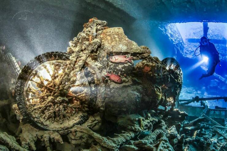 Name:  Motor under water.jpg
Views: 17
Size:  70.8 KB