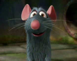 Name:  Ratatouille.jpg
Views: 439
Size:  10.1 KB