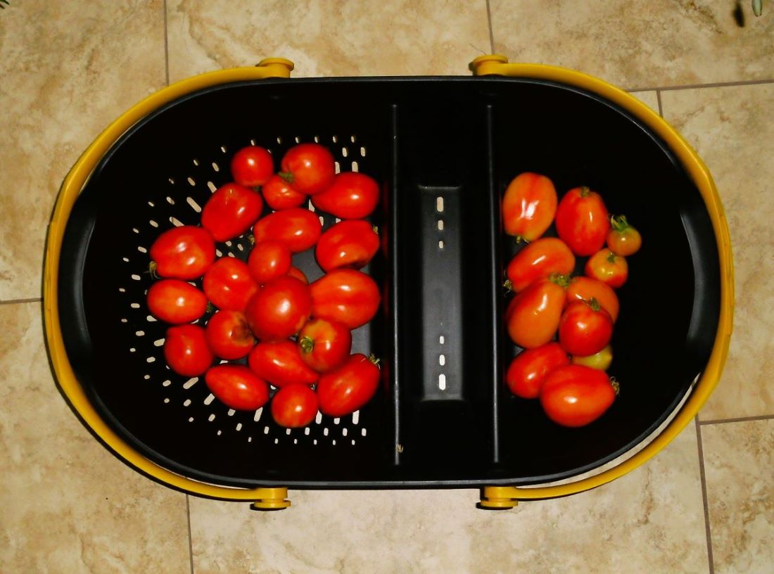 Name:  Tomatoes.jpg
Views: 524
Size:  107.0 KB