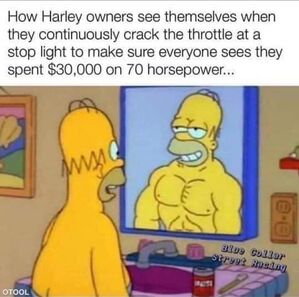 Name:  homer.jpeg
Views: 1467
Size:  35.7 KB