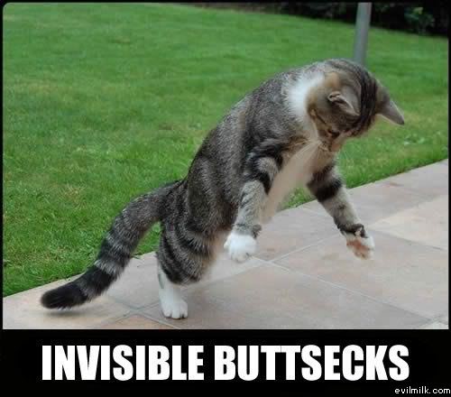 Name:  Invisible_buttsecks.jpg
Views: 23390
Size:  35.0 KB