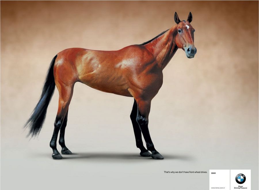 Name:  horse.jpg
Views: 5046
Size:  47.7 KB