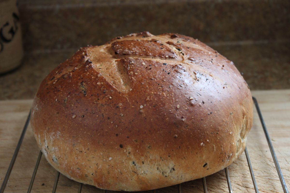 Name:  Olive bread 2.JPG
Views: 3068
Size:  118.8 KB